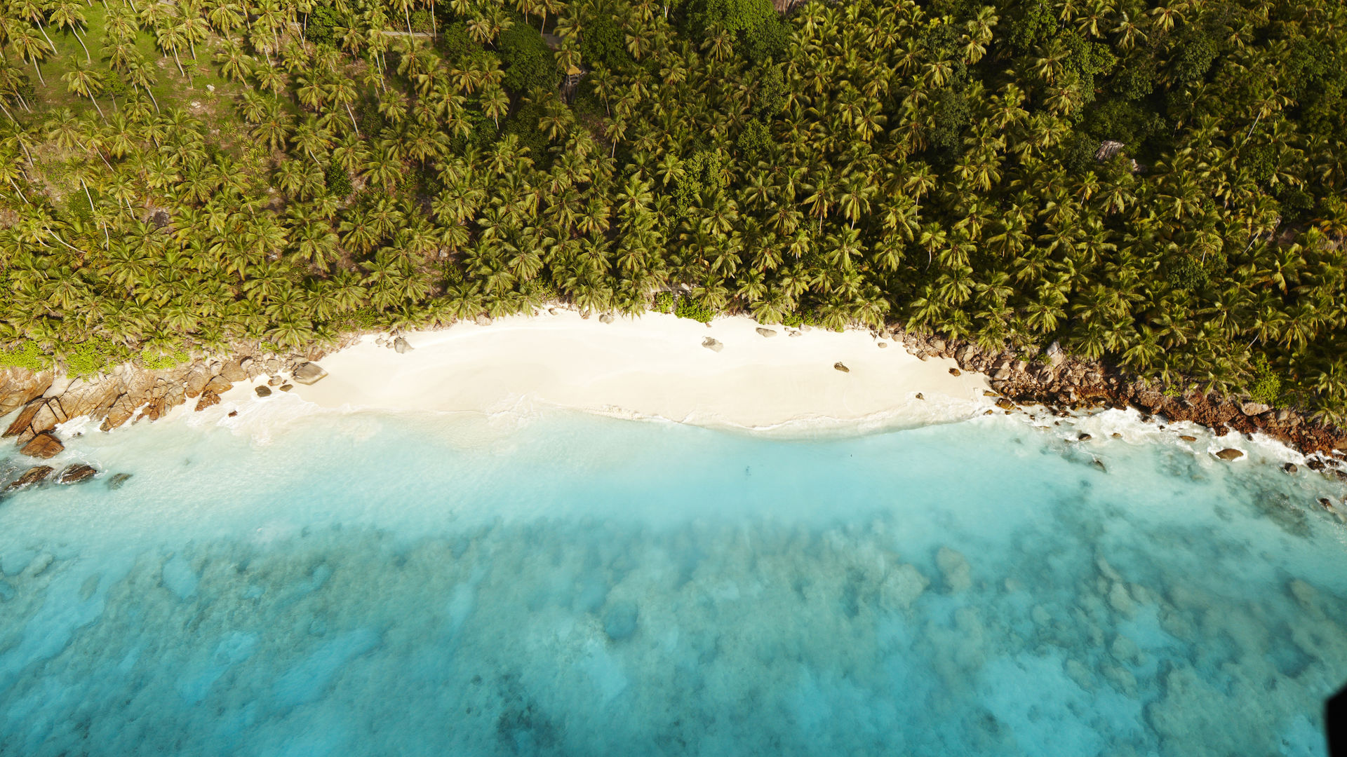 Wat te doen op de Seychellen - Excursies Seychellen.| Matoke Tours