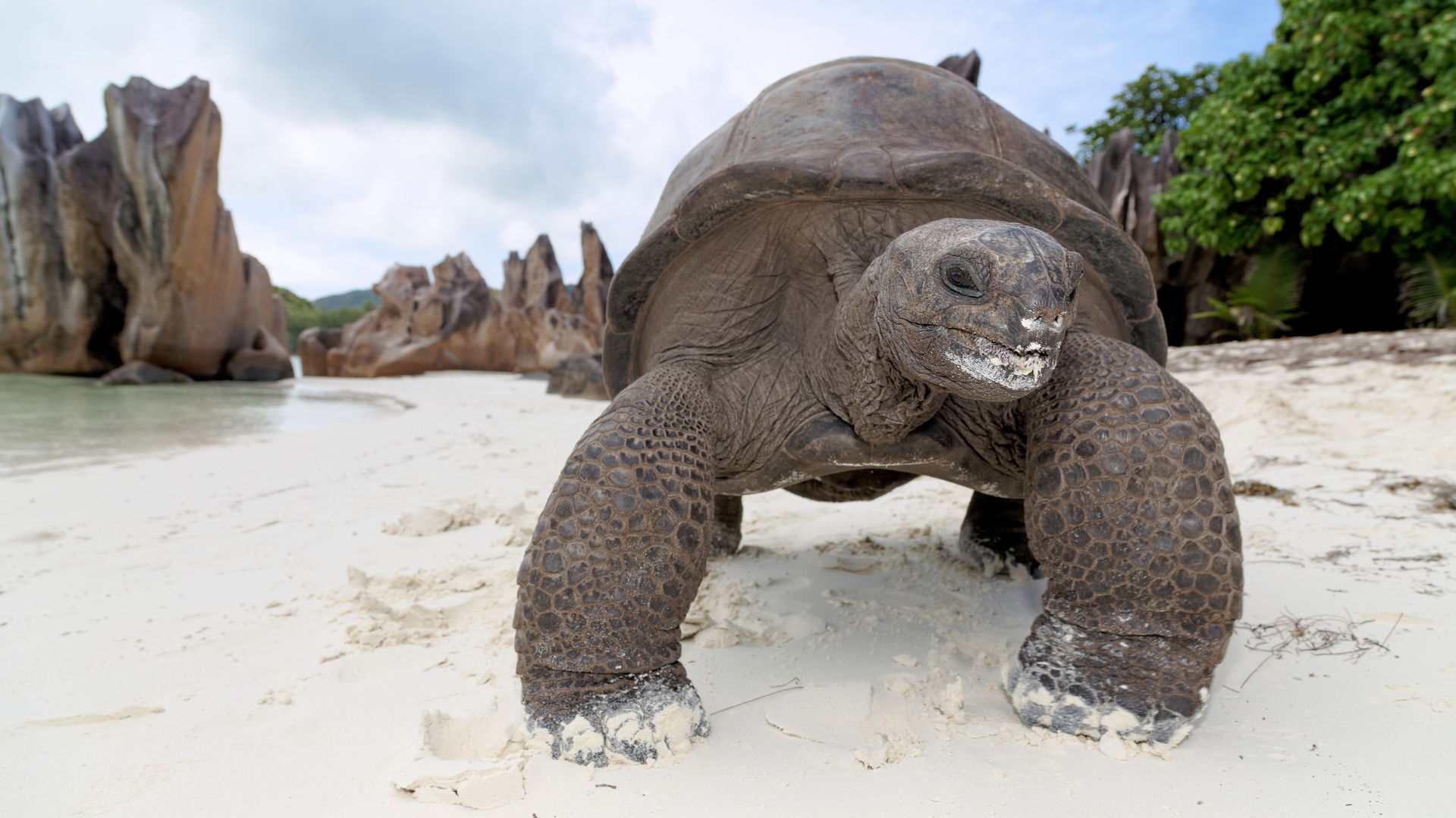 Bird Island Seychellen | Tips en informatie | Matoke Tours