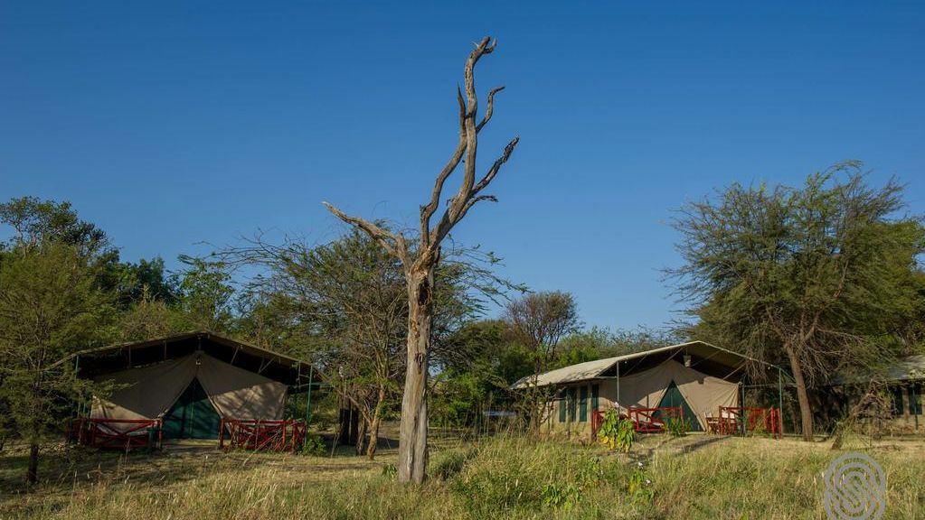 Mbuzi Mawe Tented Camp » Matoke