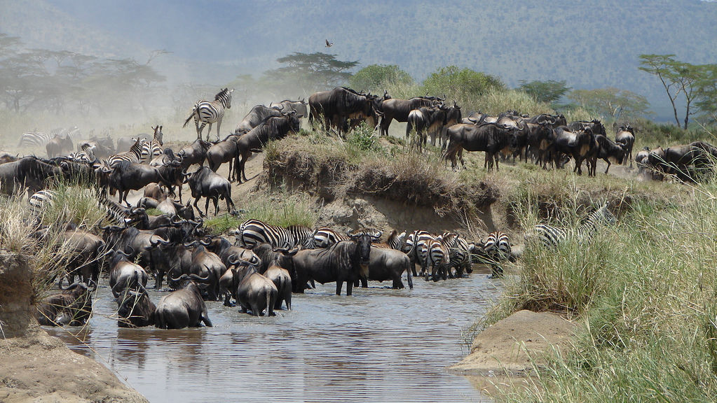 Afrika Blog van Matoke Tours - Uit liefde voor AFRIKA