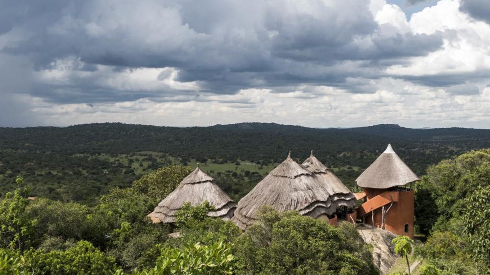 Mihingo Lodge » Matoke