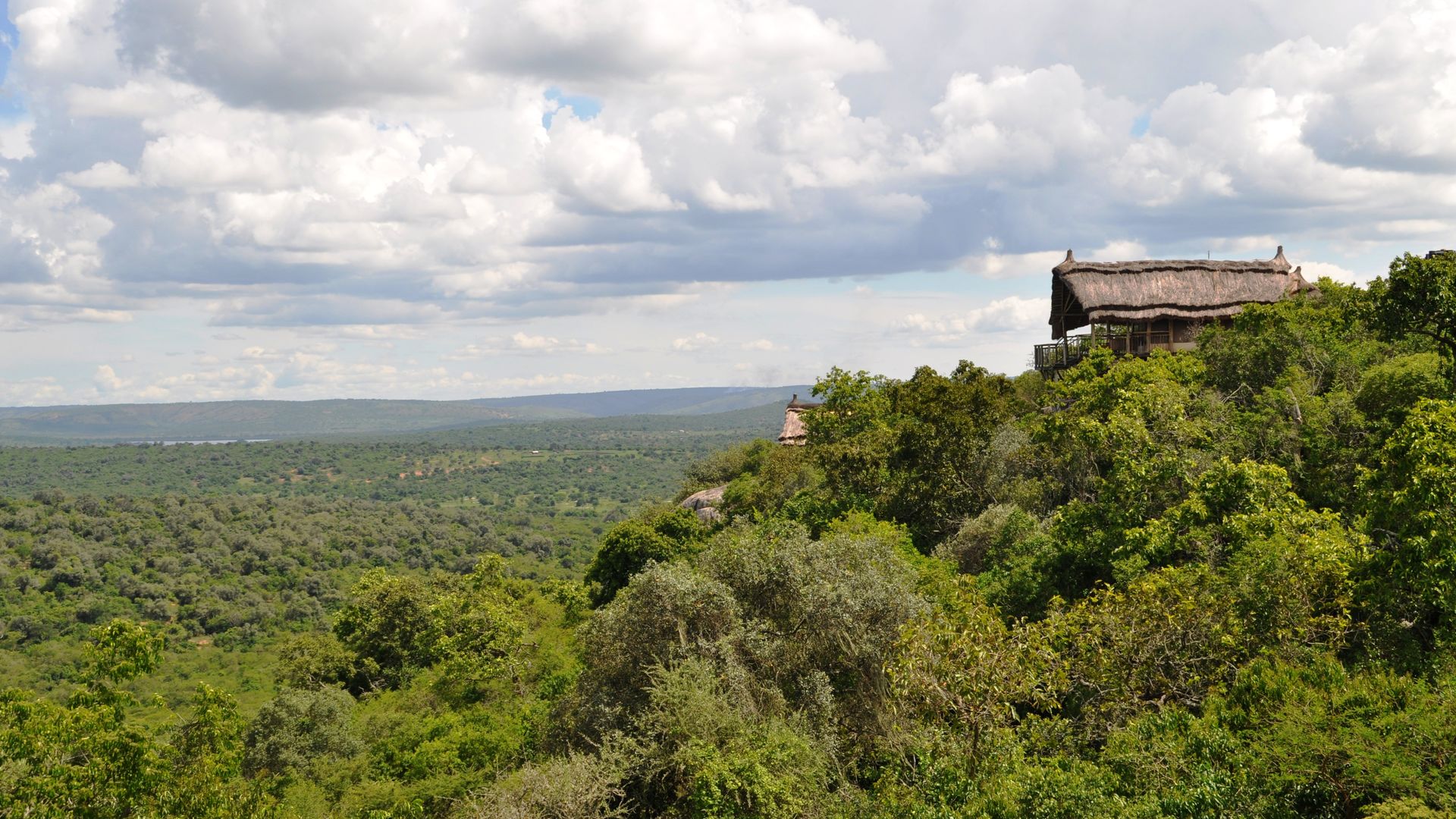 Mihingo Lodge » Matoke