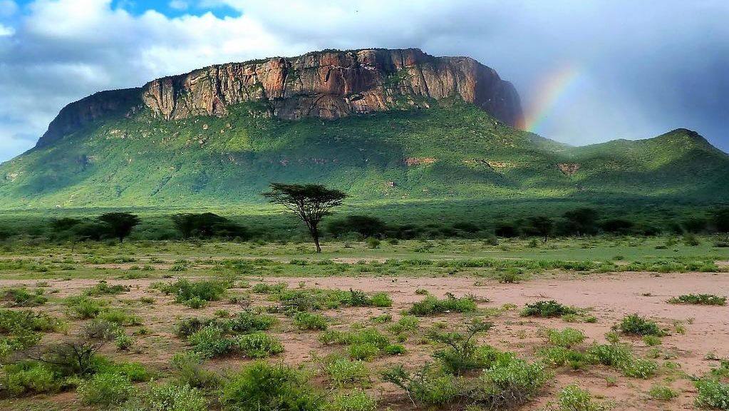 Samburu National Reserve bezoeken | Matoke Tours