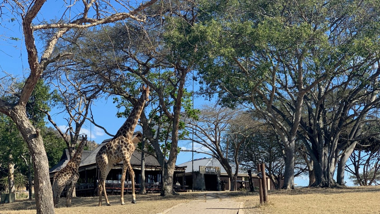 Muluwa Lodge » Matoke