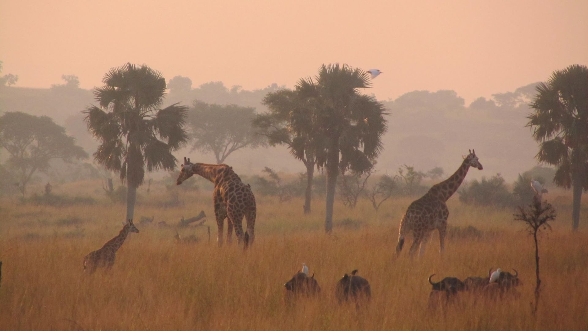 Afrika Blog van Matoke Tours - Uit liefde voor AFRIKA