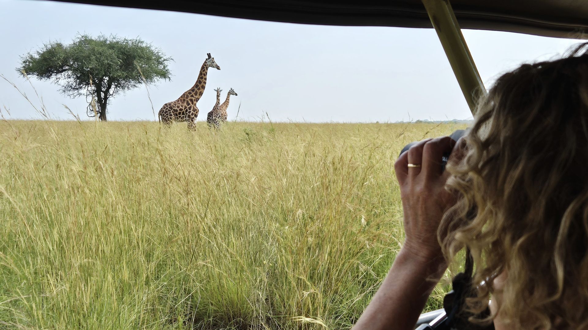 Fotograaf: Sabine Debel
Noteer naam wanneer je deze foto gebruikt.