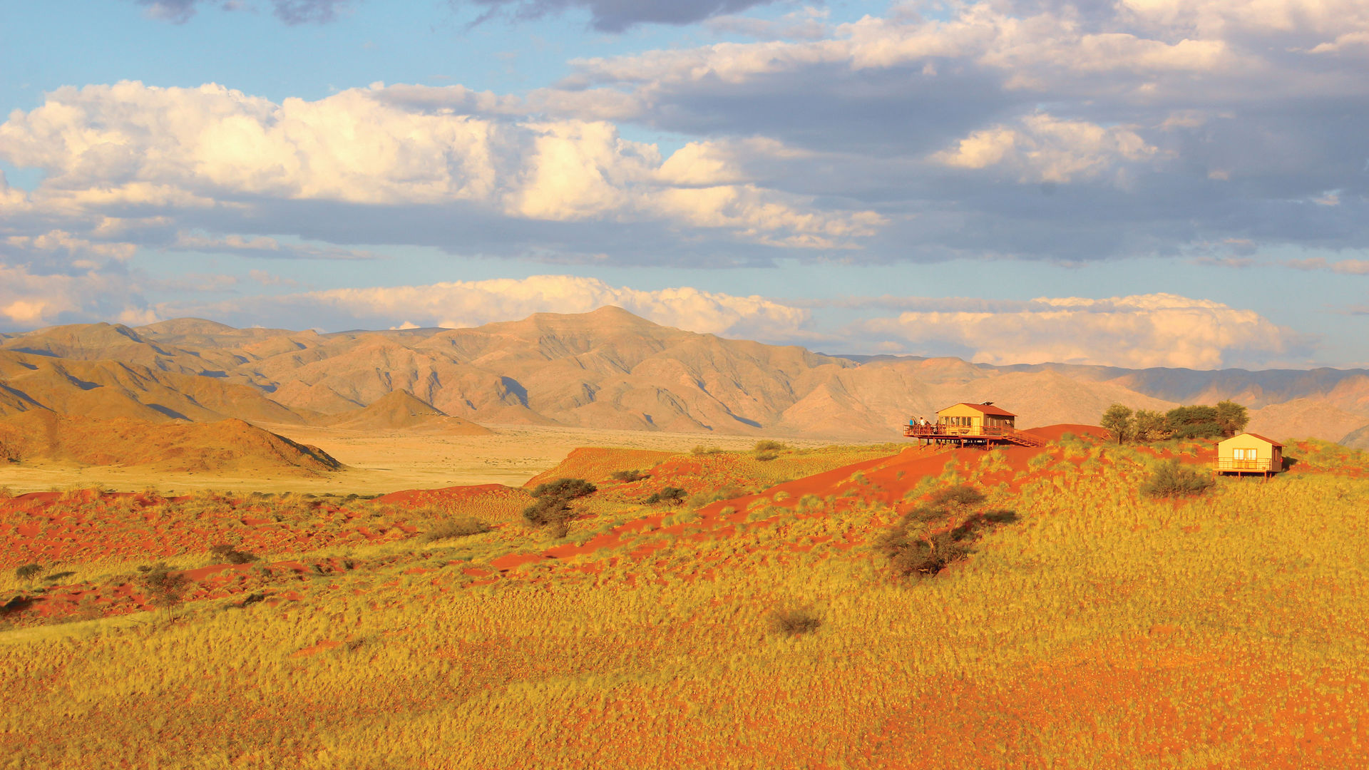 Namib Dune Star Camp » Matoke