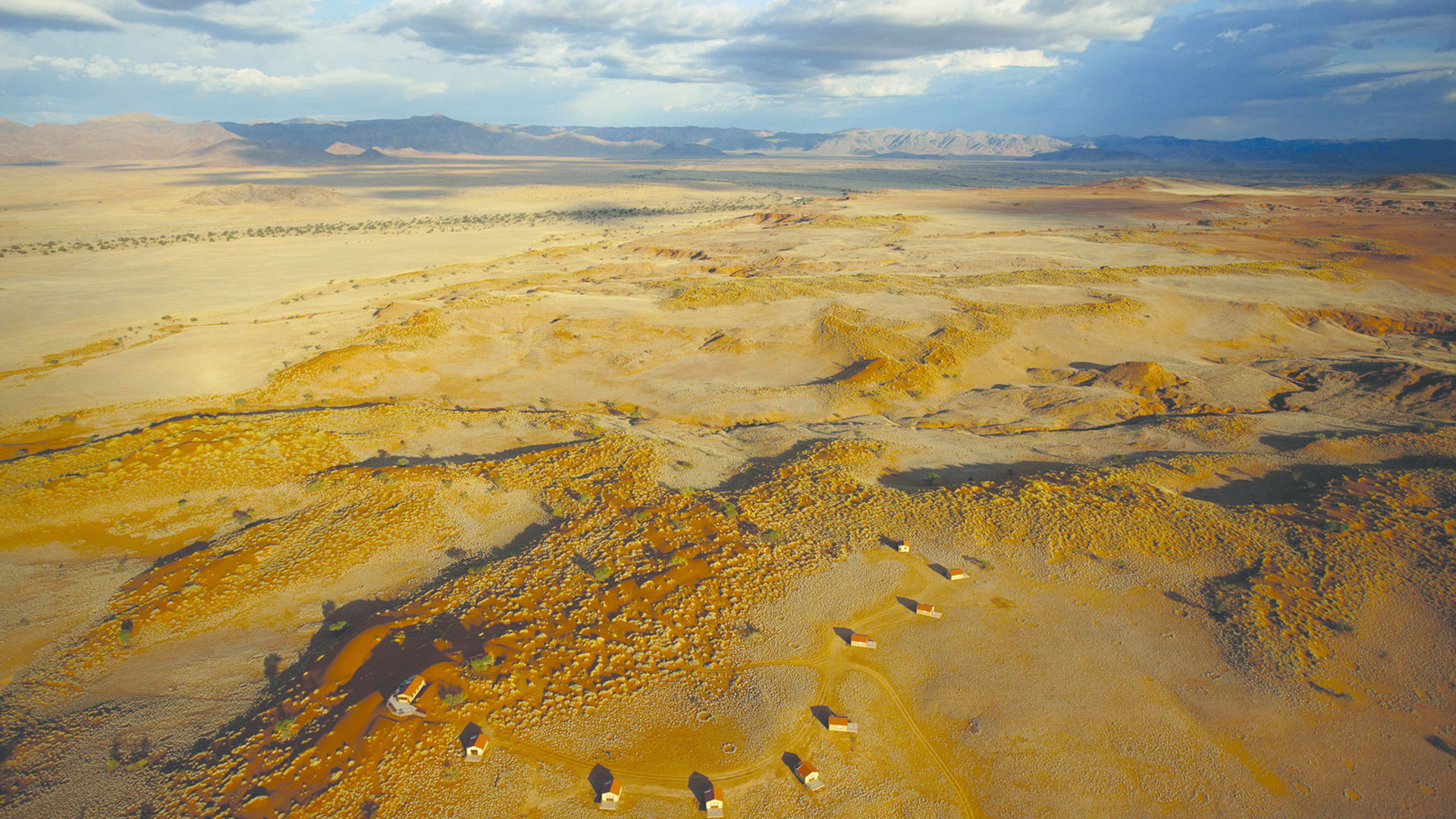 Namib Dune Star Camp » Matoke