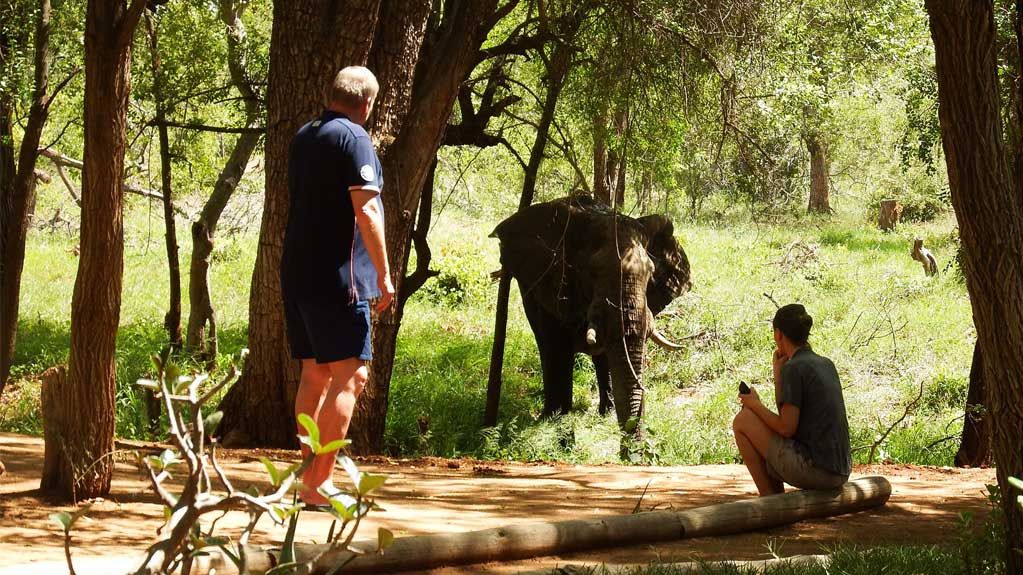 nDzuti Bush Camp » Matoke