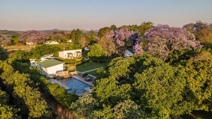 Nut Grove Manor » Matoke