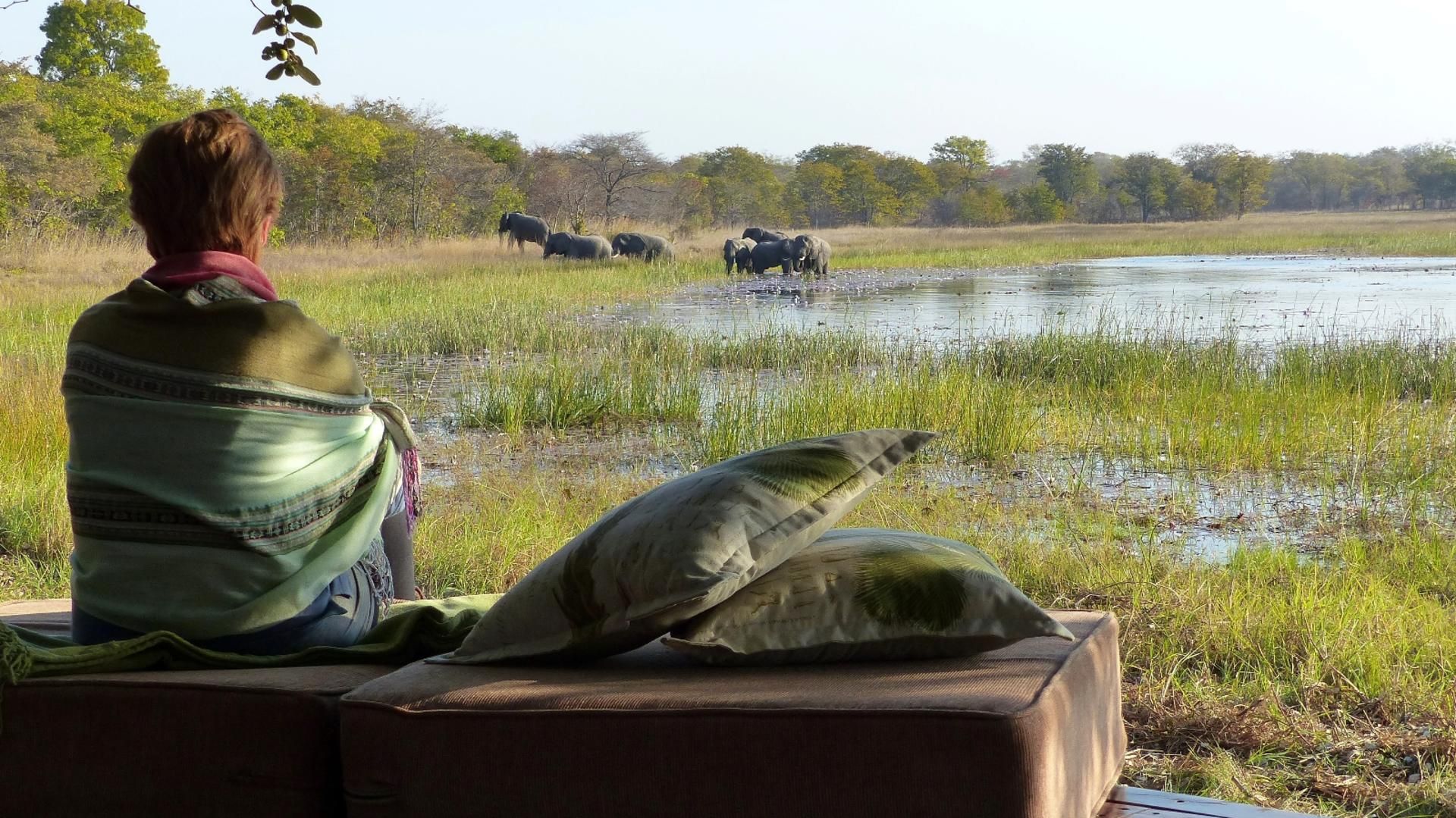 Nanzhila Plains Safari Camp » Zambia » Matoke Tours