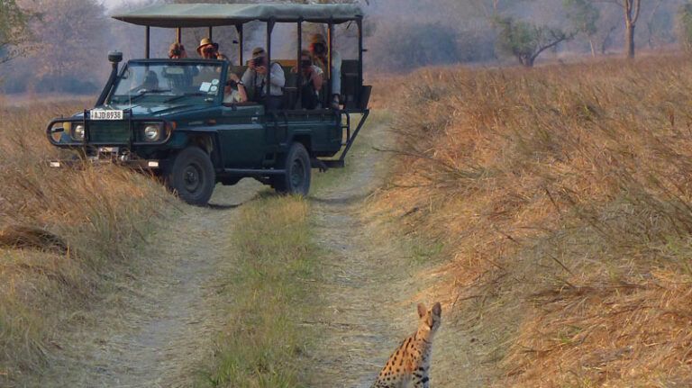 Nanzhila Plains Safari Camp » Zambia » Matoke Tours