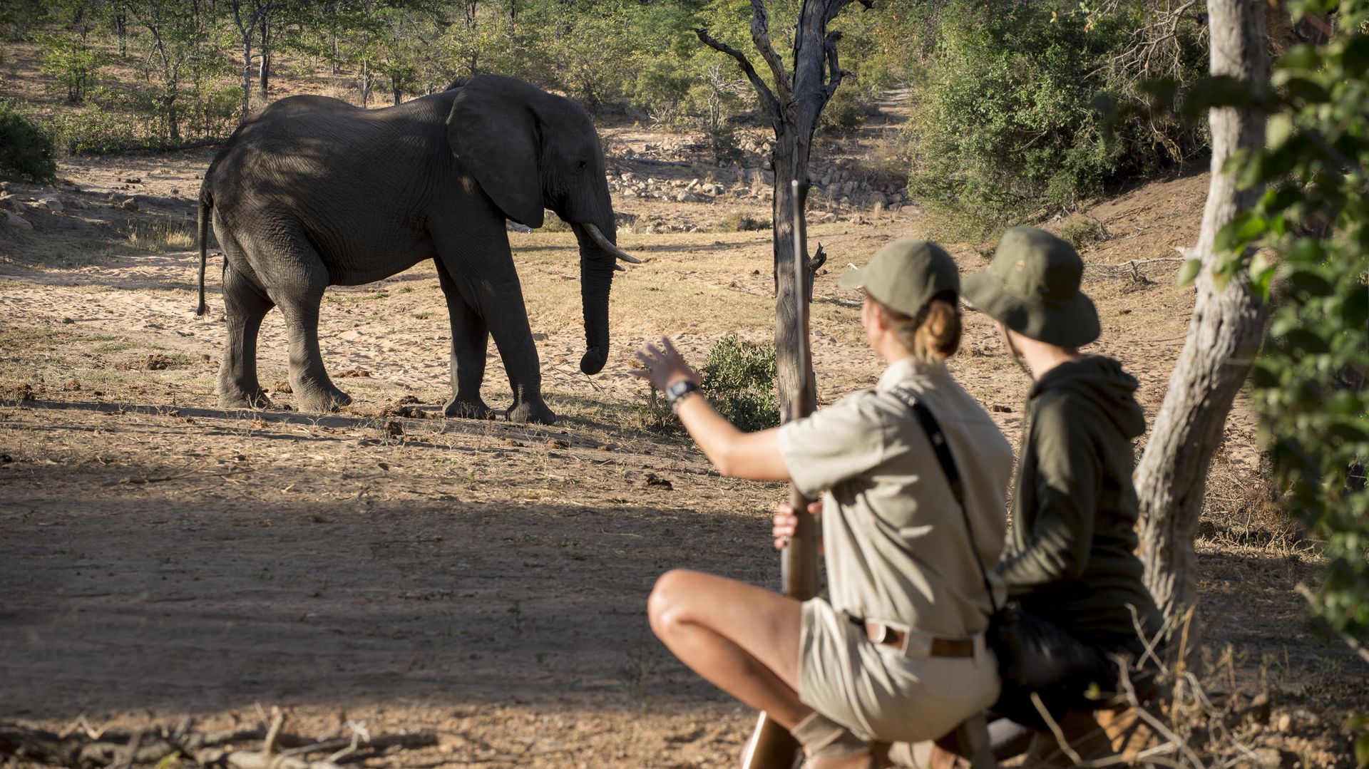 Ngala Safari Lodge » Matoke