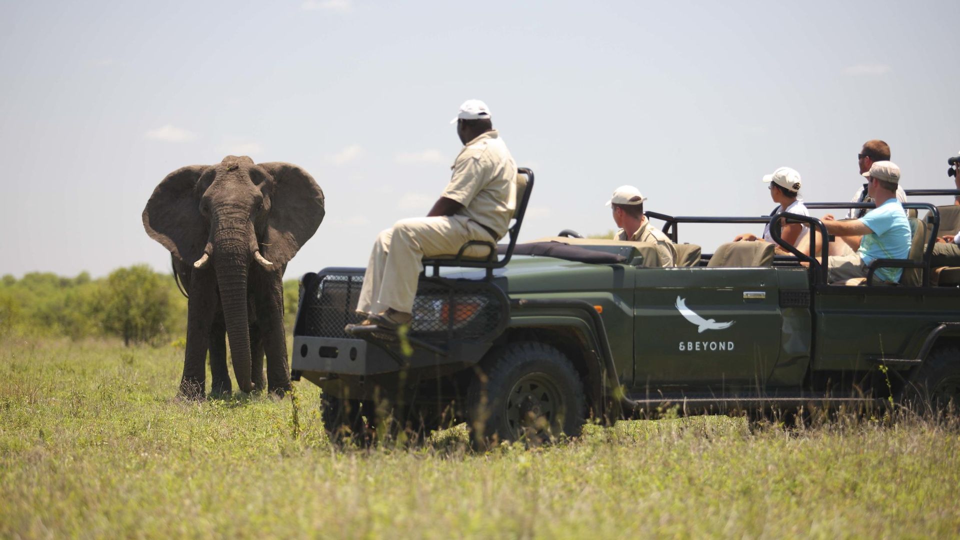 Ngala Safari Lodge » Matoke