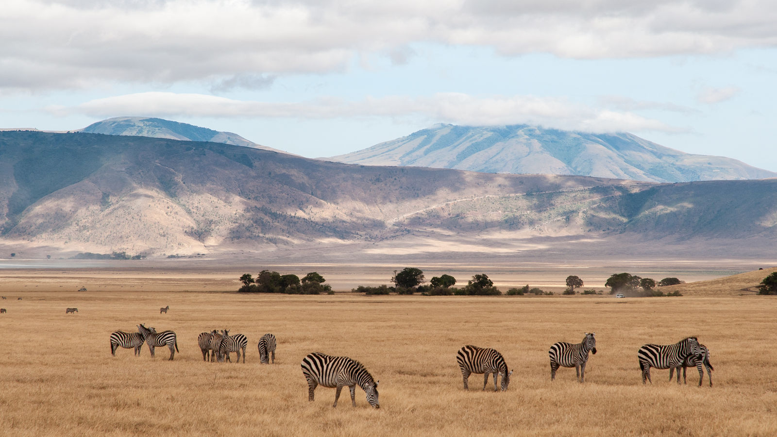 Serengeti vakantie - 10 dagen Serengeti reis | Matoke Tours