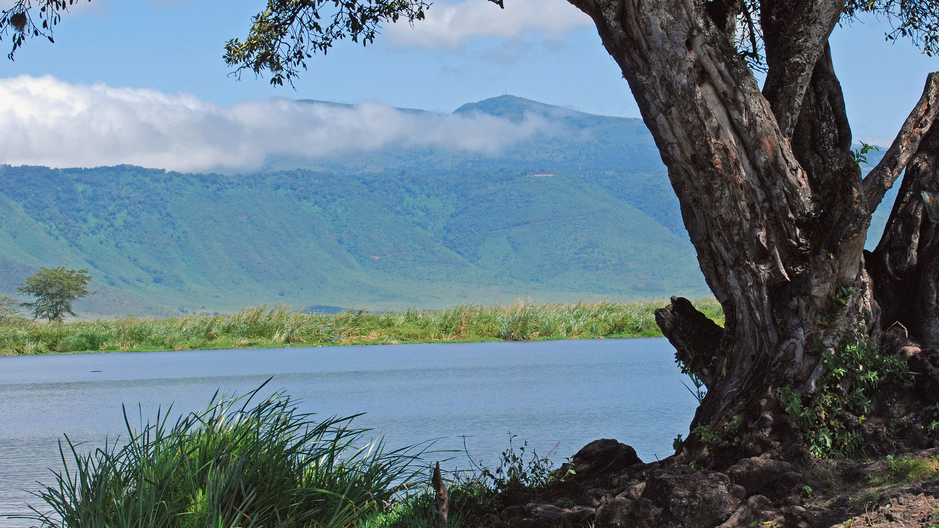 Individuele rondreis Tanzania - 17 dagen Tanzania - Matoke Tours