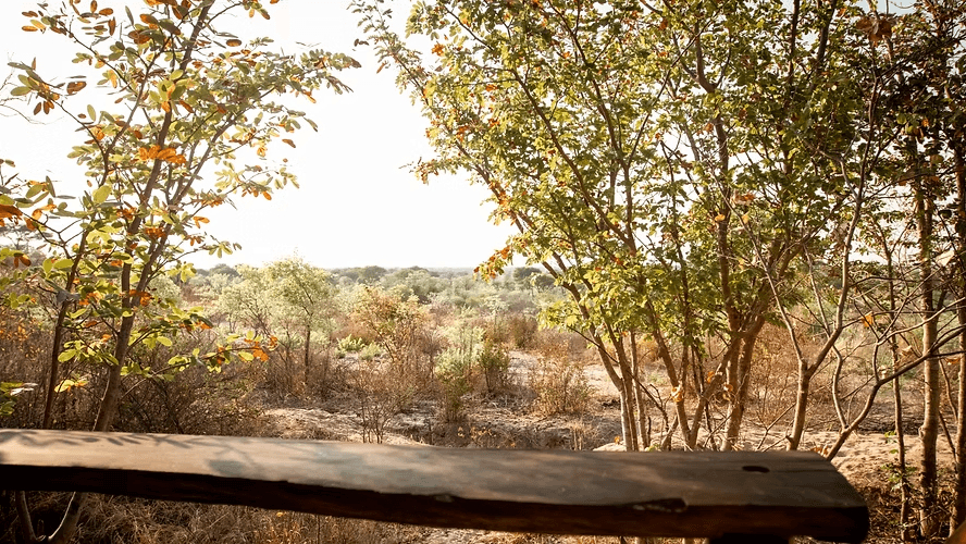 Nhoma Safari Camp » Namibië » Matoke Tours