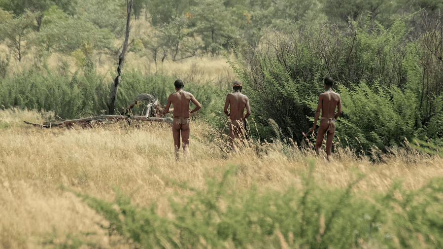 Nhoma Safari Camp » Namibië » Matoke Tours