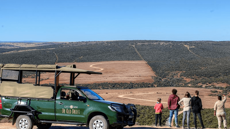 De Old Drift Guest Farm » Zuid Afrika » Matoke Tours