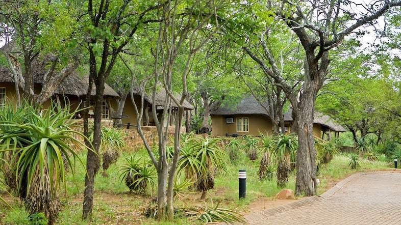 Olifants Restcamp » Zuid Afrika » Matoke Tours
