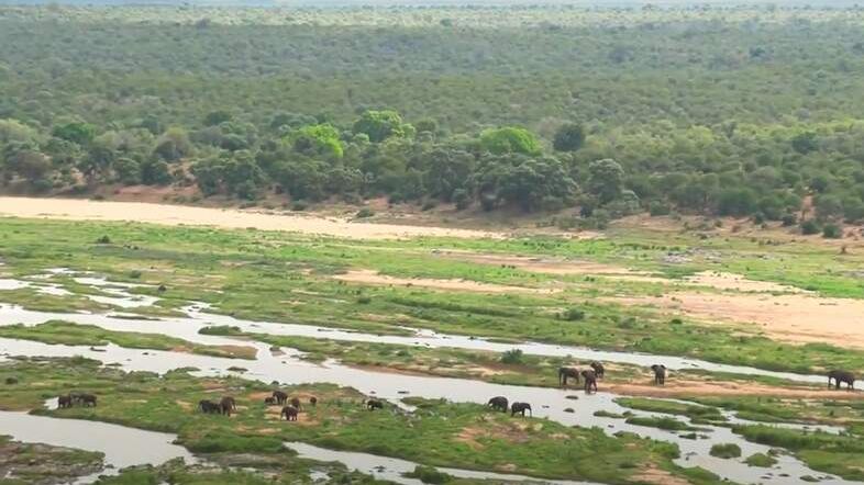 Olifants Restcamp » Zuid Afrika » Matoke Tours