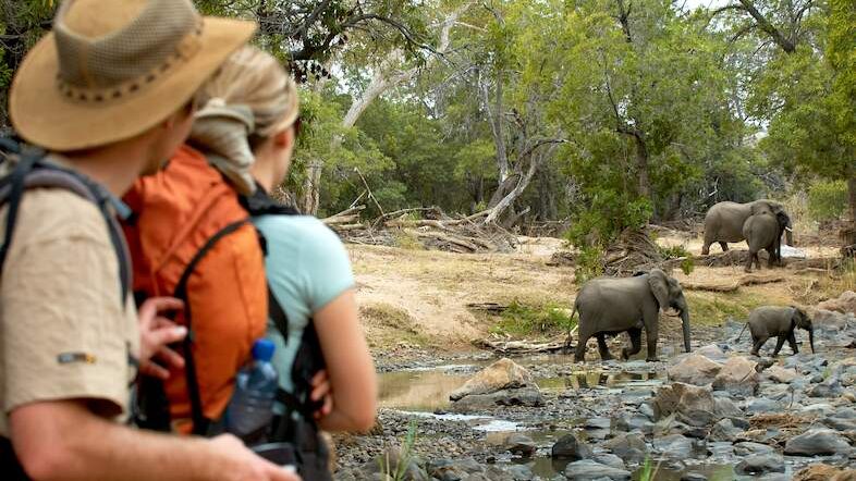 Olifants Restcamp » Zuid Afrika » Matoke Tours