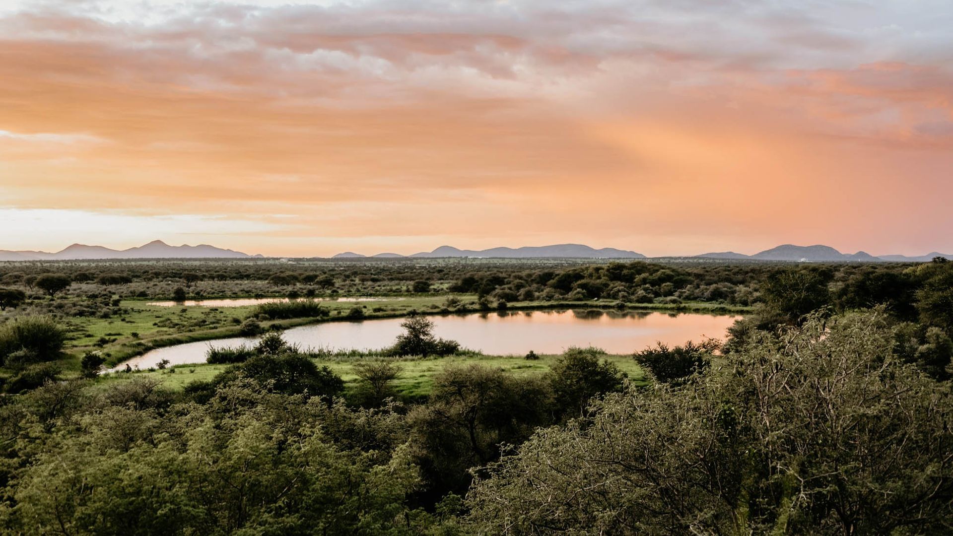 Okapuka Safari Lodge » Matoke