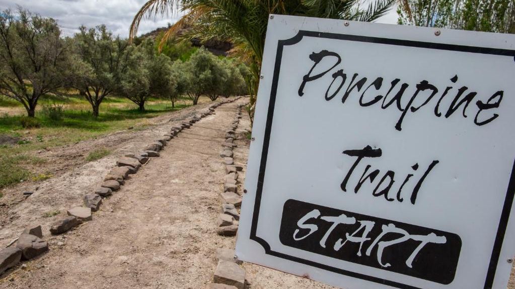 Olive Grove Guestfarm » Zuid Afrika » Matoke Tours