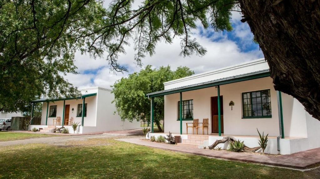 Olive Grove Guestfarm » Zuid Afrika » Matoke Tours