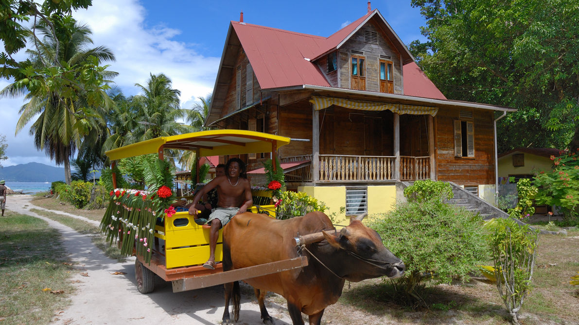 Eilanden reis Seychellen | Matoke Tours Afrika specialist