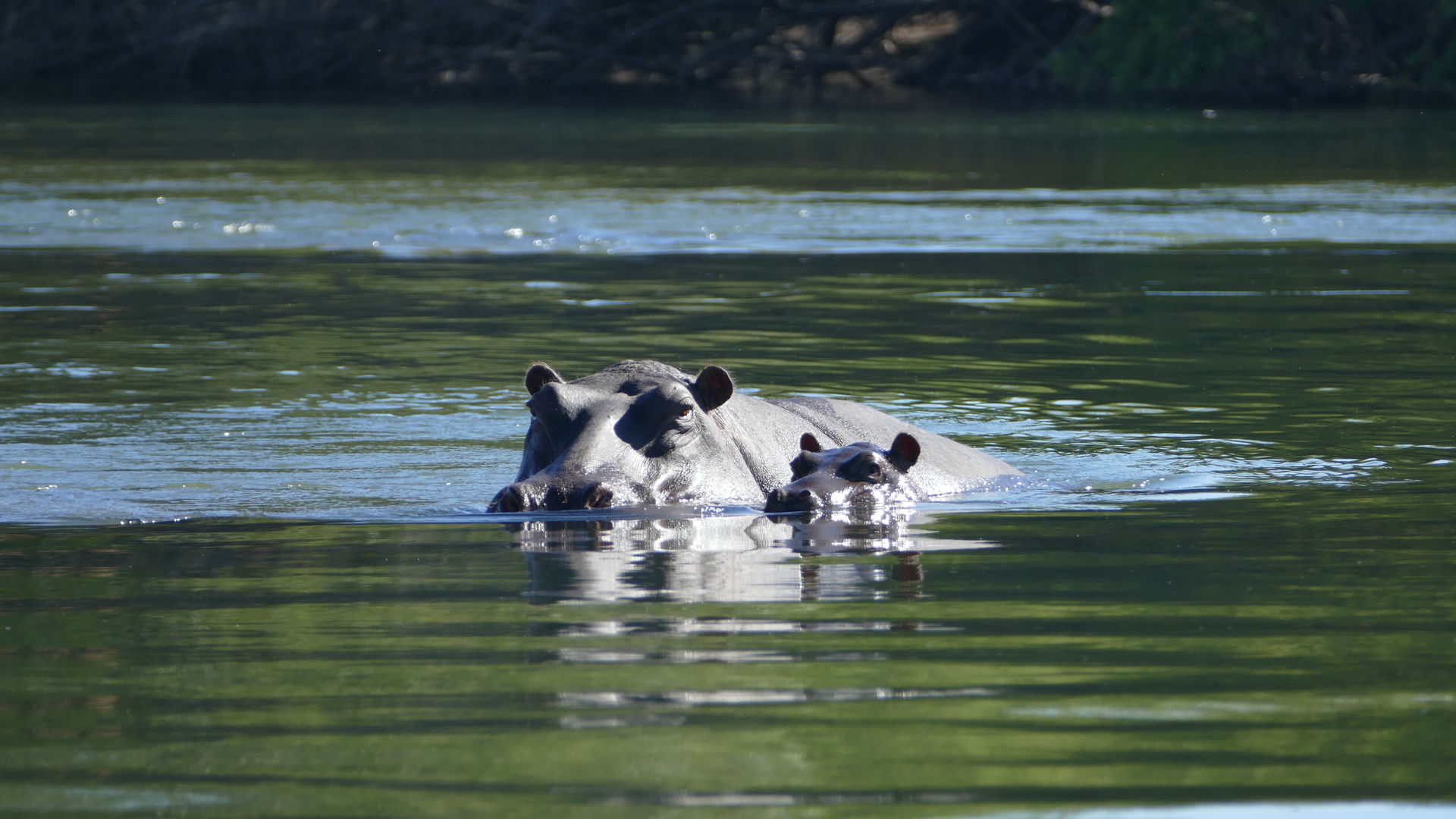 Victoria Falls lodges en hotels - Verlengingen naar Victoria watervallen