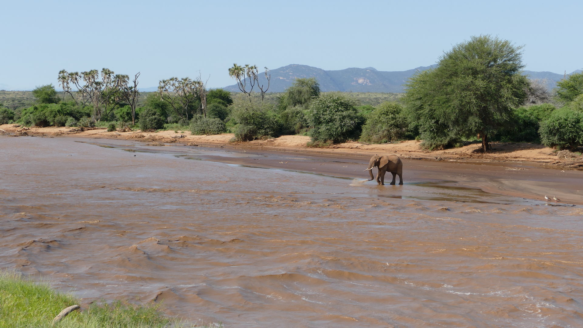 Privéreis Kenia compleet - 14 dagen | Twee weken Kenia | individuele reis