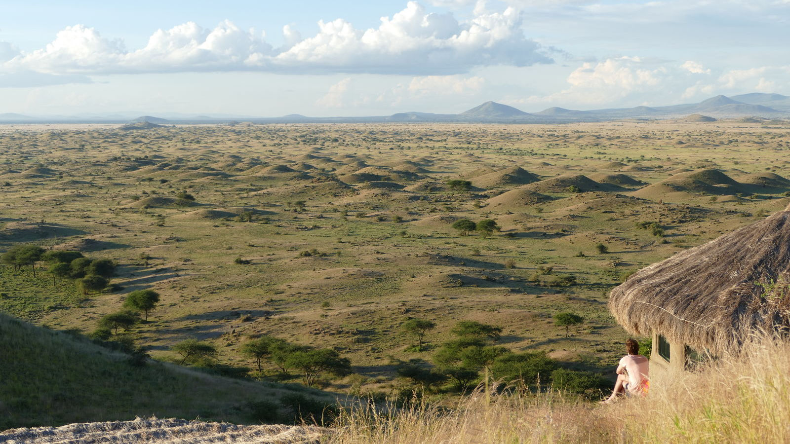 Africa Amini Maasai Lodge » Matoke