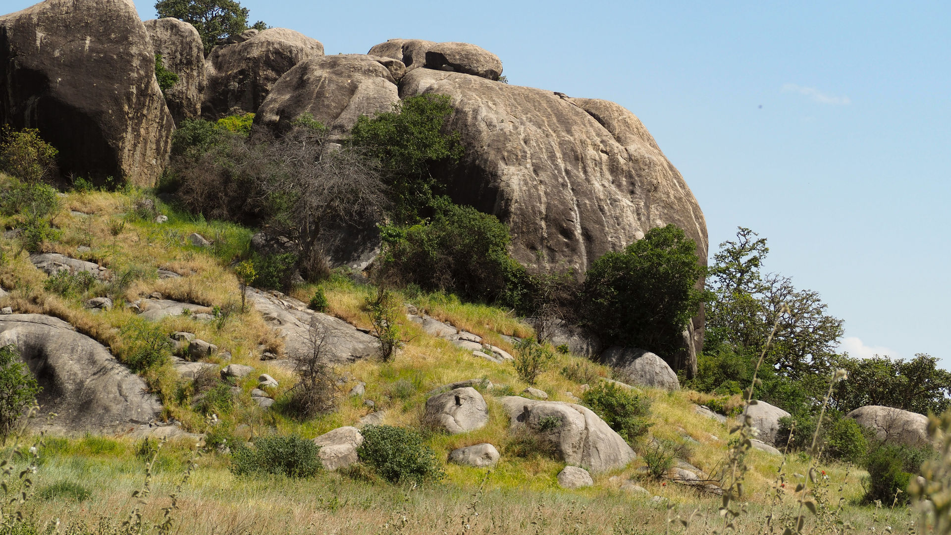 Reisspecialist Joanna van Matoke Tours op studiereis in Tanzania