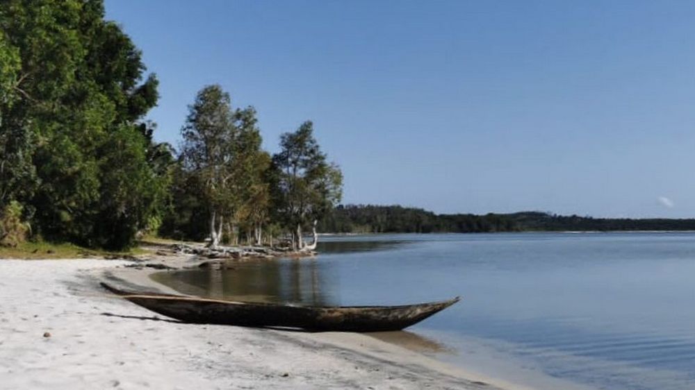 Palmarium Hotel » Matoke