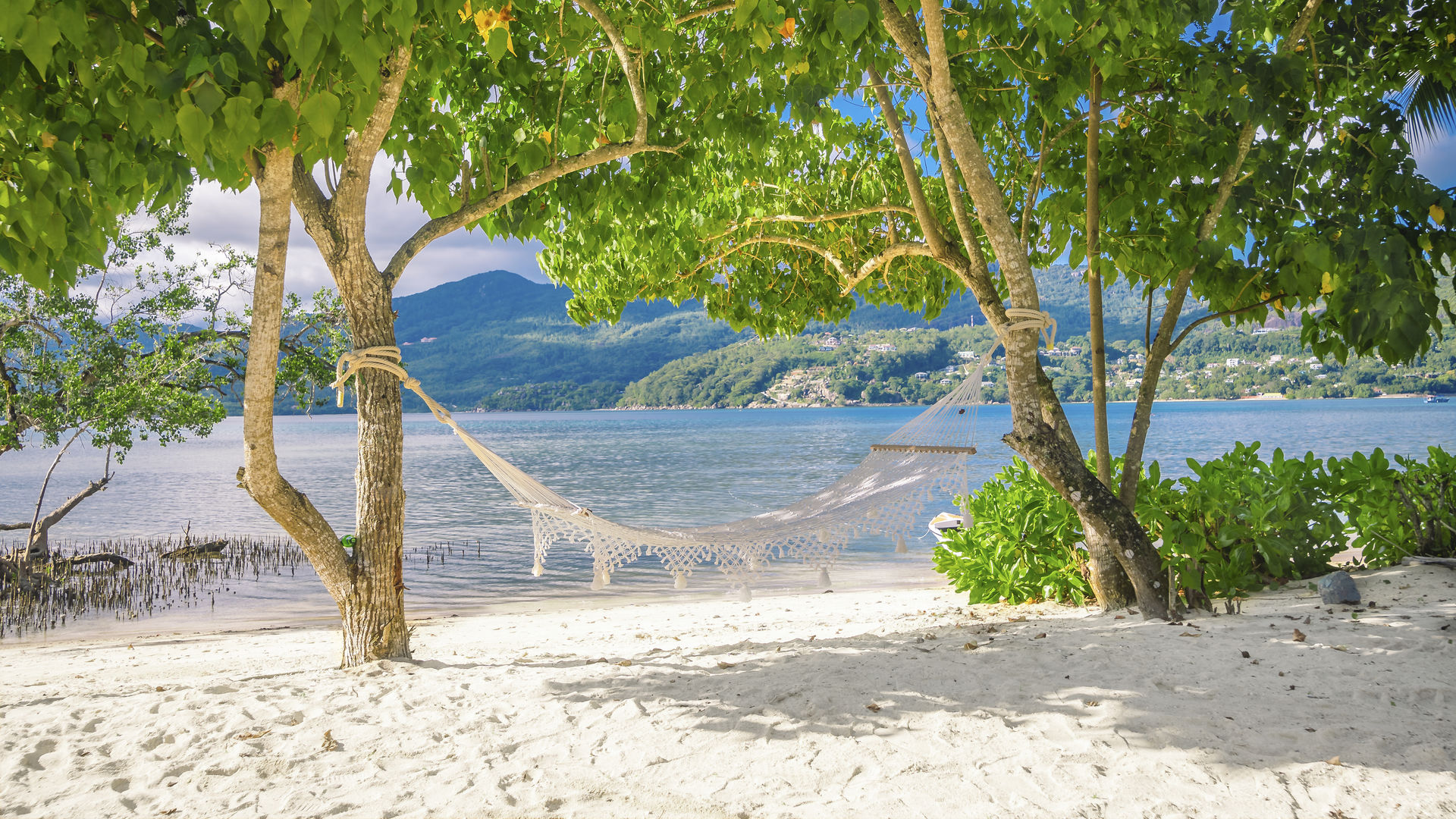 Wat te doen op de Seychellen - Excursies Seychellen.| Matoke Tours