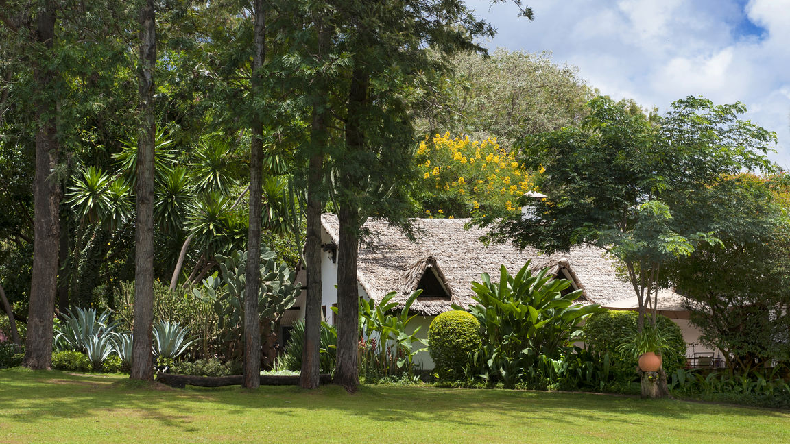 Plantation Lodge » Matoke