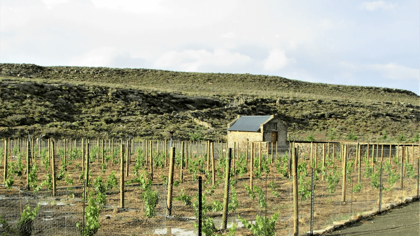 Rogge Cloof Eco-Village » Zuid Afrika » Matoke Tours