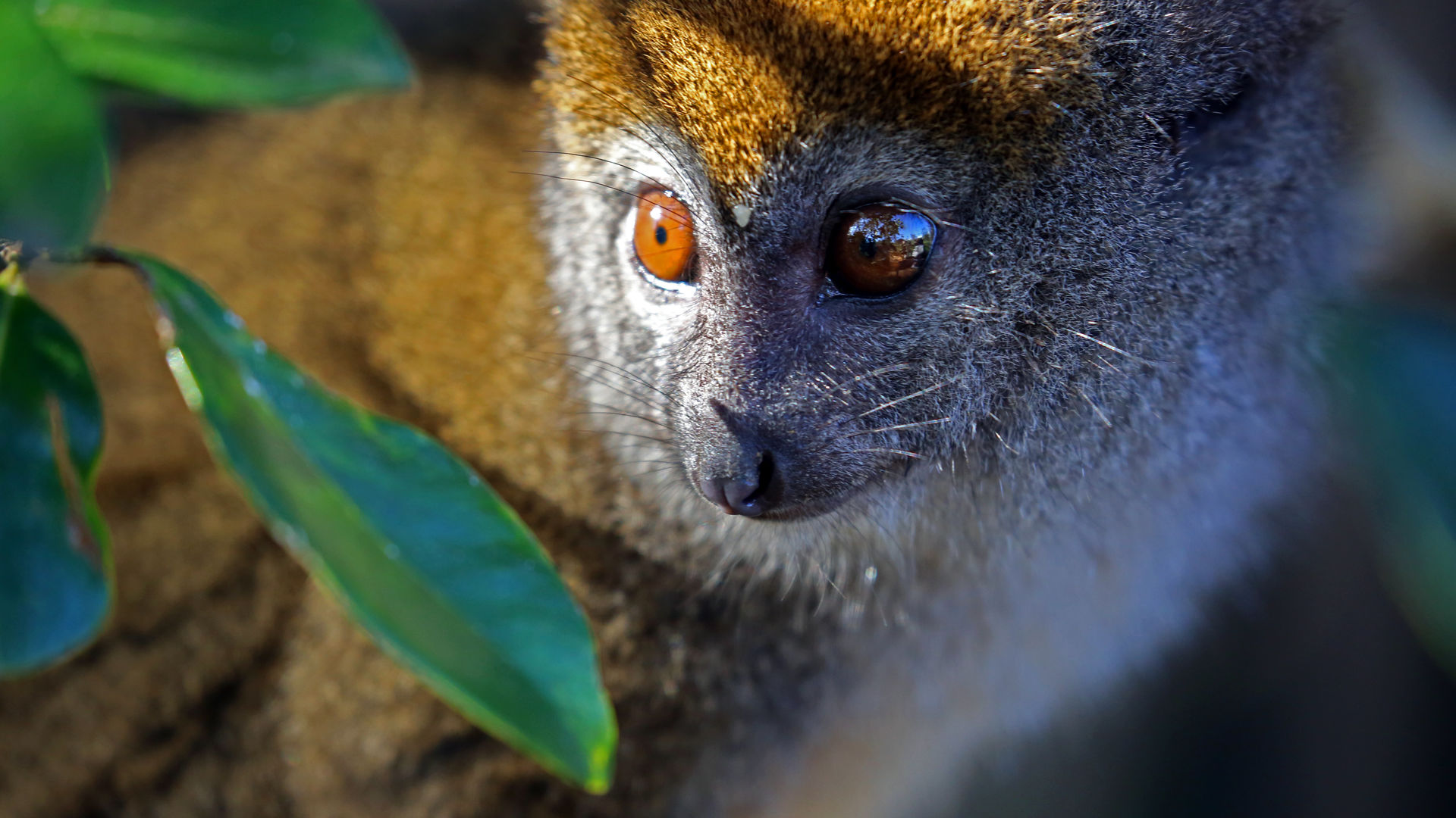 Reis in 3 weken door Madagascar - 23 dagen Noord en Zuid Madagaskar