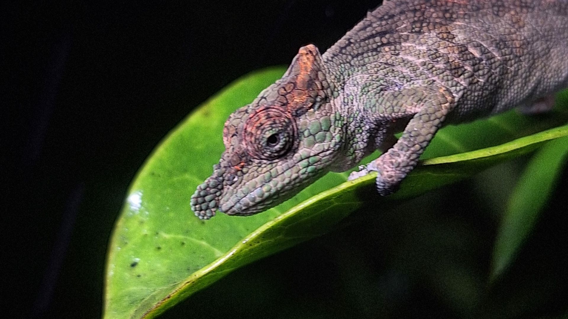 Reisspecialisten van Matoke Tours op studiereis in Madagascar