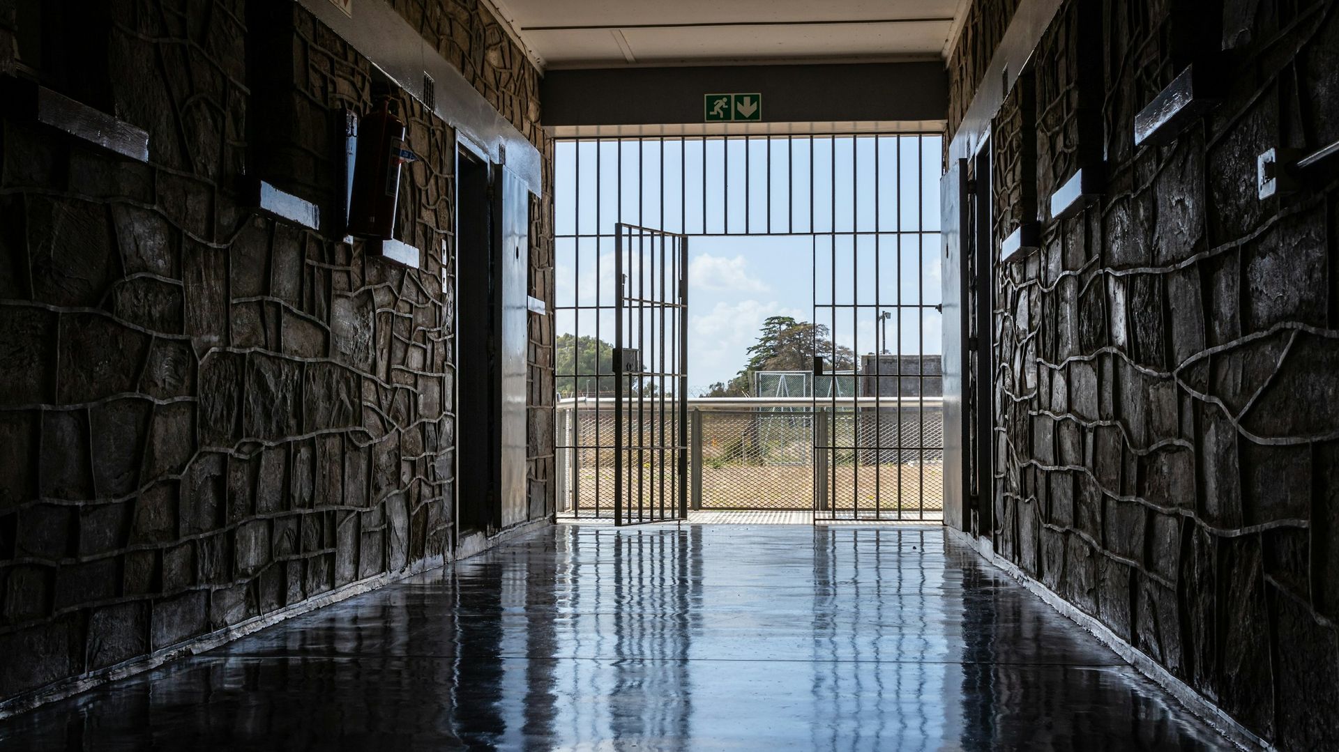 Robbeneiland - symbool van vrijheid en veerkracht | Matoke Tours