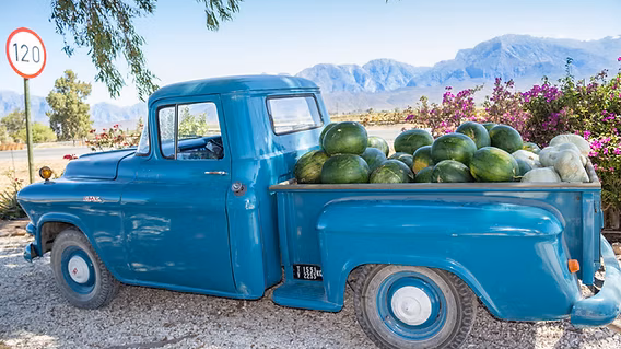 Oudtshoorn - de hoofdstad van Klein Karoo | Matoke Tours