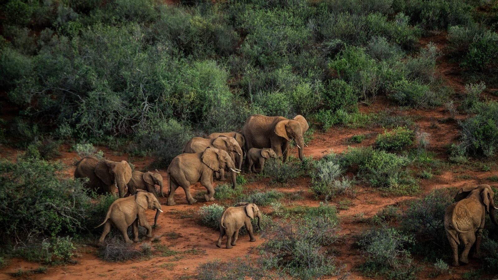 Sarara Camp » Matoke