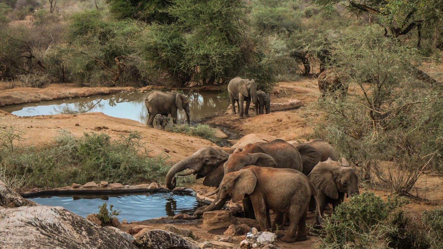 Sarara Camp » Matoke