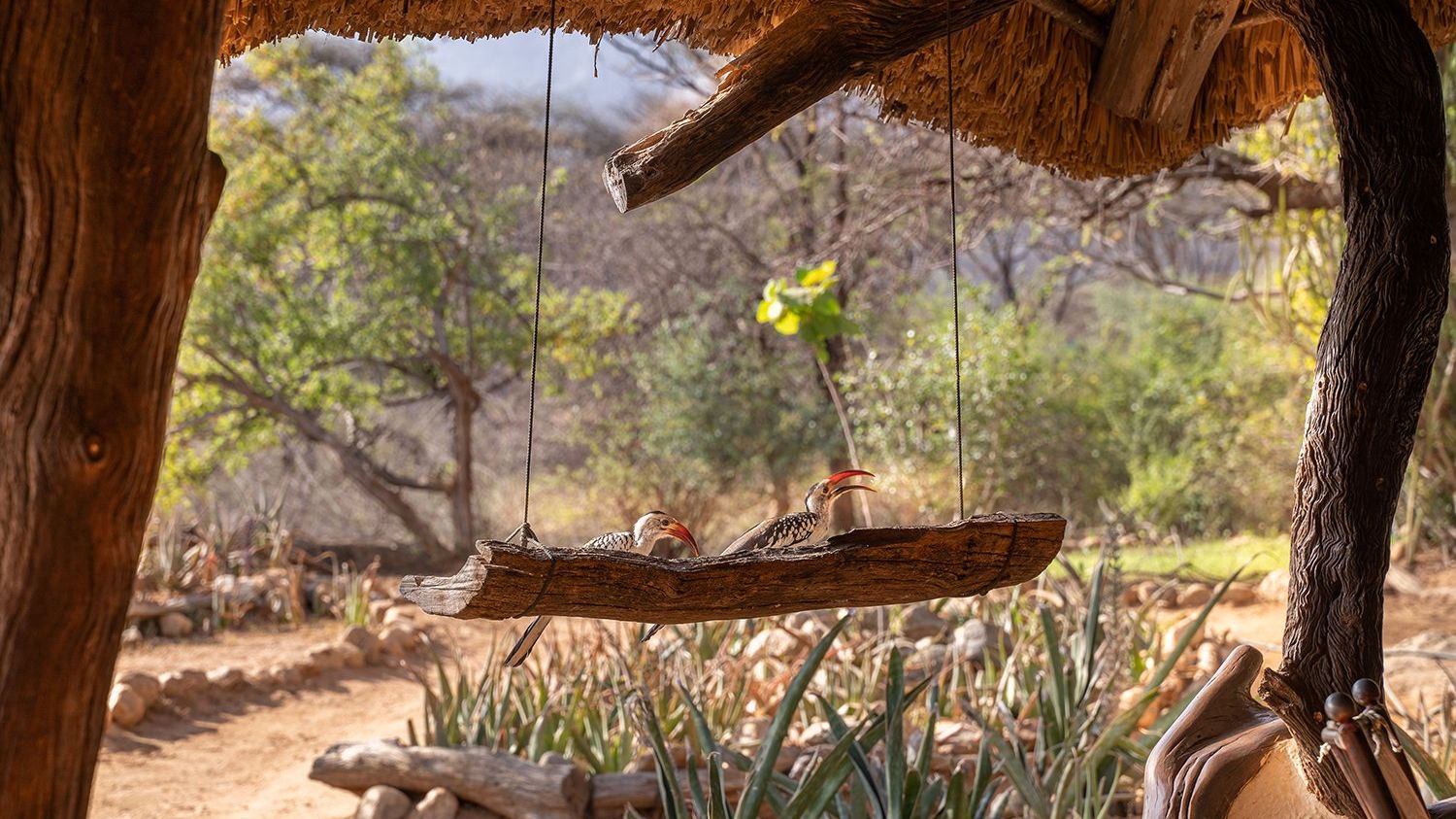 Sarara Camp » Matoke