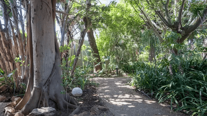 Singa Lodge » Zuid Afrika » Matoke Tours