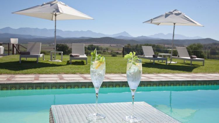 Surval Boutique Olive Estate » Zuid Afrika » Matoke Tours