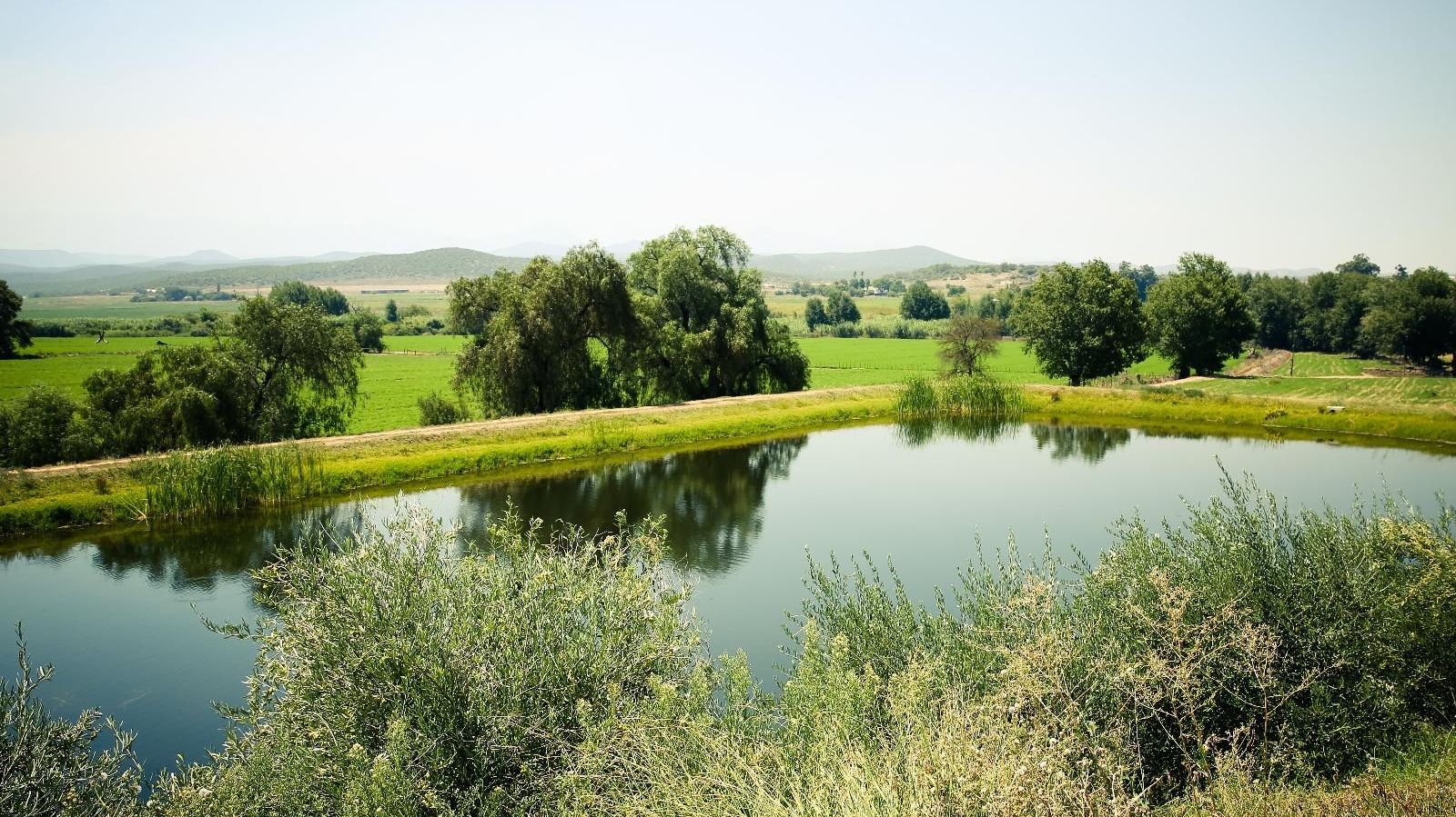 Surval Boutique Olive Estate » Zuid Afrika » Matoke Tours