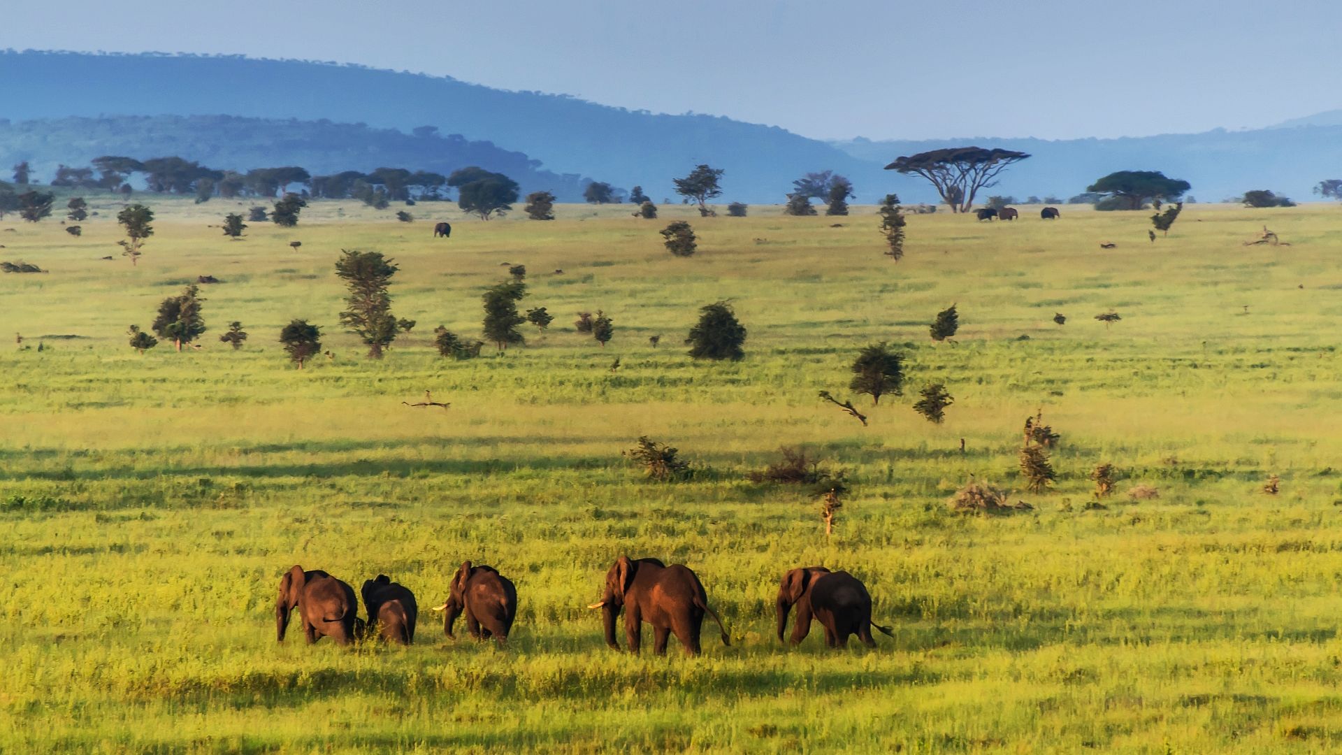 Individuele rondreis Tanzania - 17 dagen Tanzania - Matoke Tours