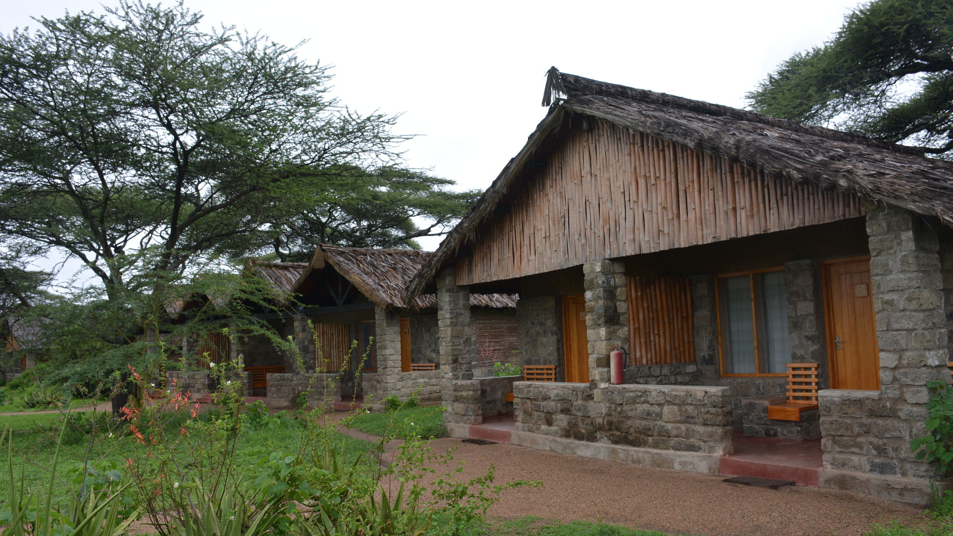 Ndutu Safari Lodge » Matoke